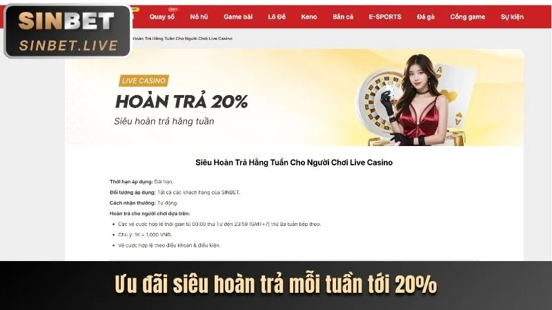 Khuyến mãi và ưu đãi độc quyền